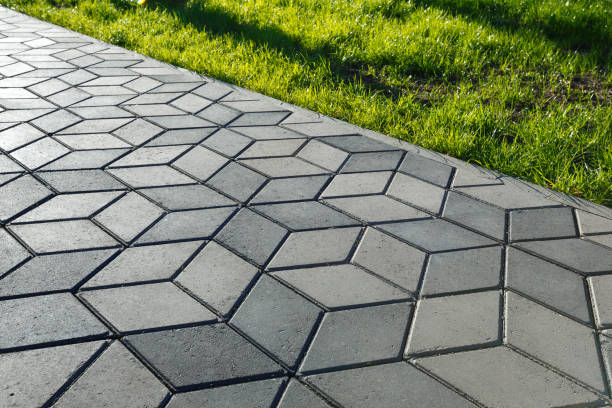 Best Driveway Paving Contractor  in Toluca, IL